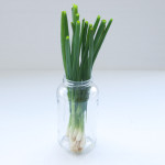 green onion