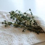 thyme