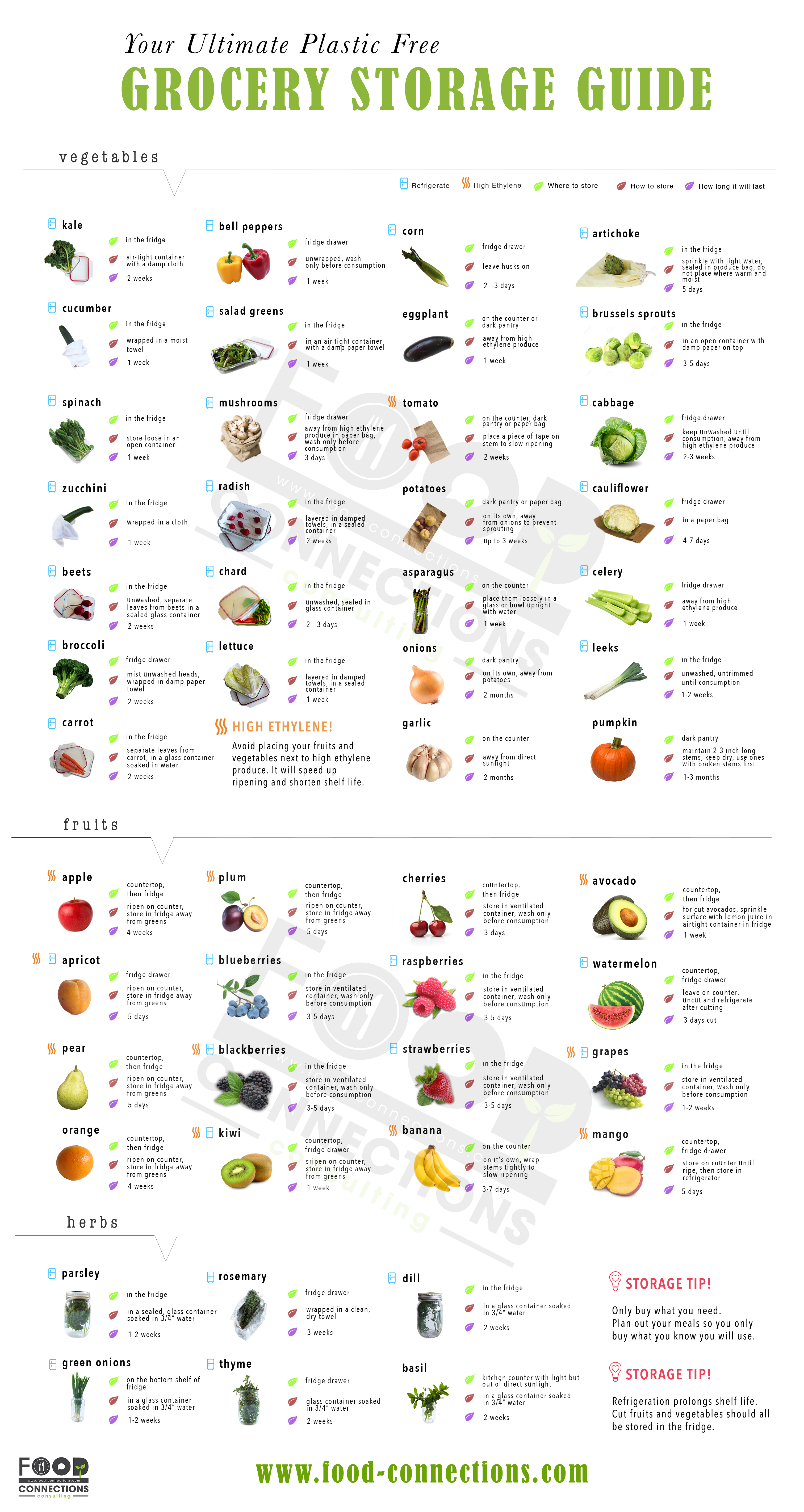 The Ultimate Grocery Storage Guide | Food Connections
