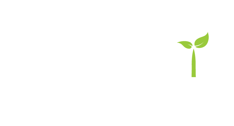Food Connections